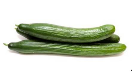 国产黄瓜大视频,探寻绿色健康生活新选择