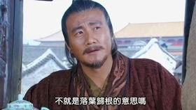 国产电视剧原创解说视频,原创解说视频带你领略精彩瞬间