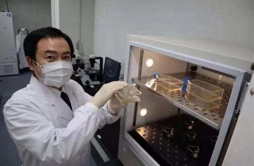 华人打国产疫苗视频,华人亲身讲述接种体验