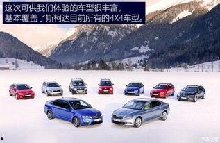 国产4x4试驾视频,驾驭巅峰，探寻硬派越野新境界