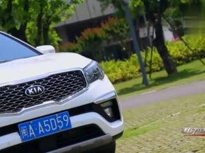 最新国产suv视频,视频揭秘最新车型风采