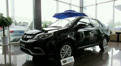 大佬爱国产车的视频