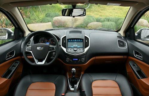 大佬爱国产车的视频