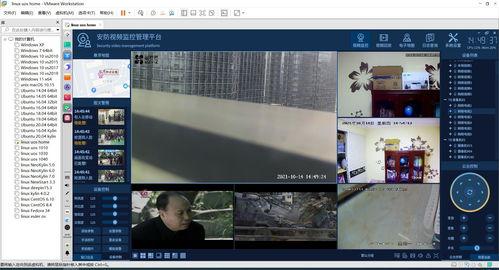 国产短视频67942,揭秘热门短视频背后的创作魅力
