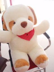 狗狗玩具视频国产