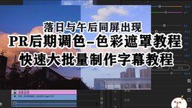 国产vs免费视频