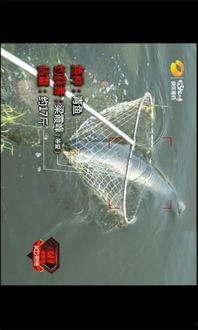 国产钓鱼视频设备  第1张