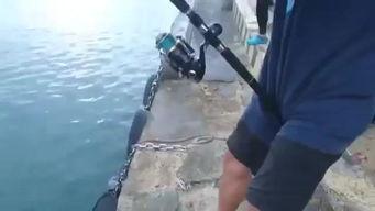 国产钓鱼视频设备  第2张